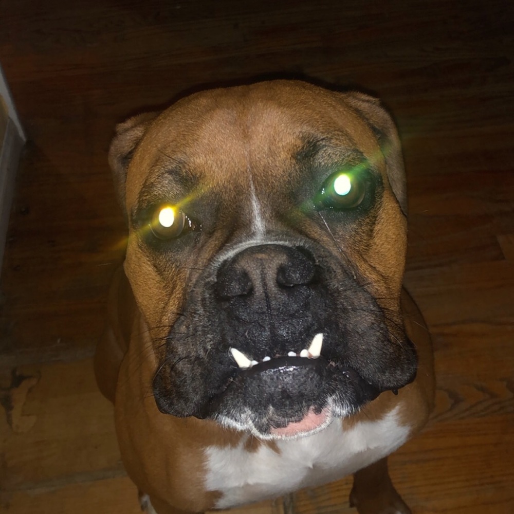 Meet your Posher, Gabriela